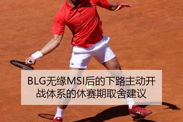 BLG无缘MSI后的下路主动开战体系的休赛期取舍建议